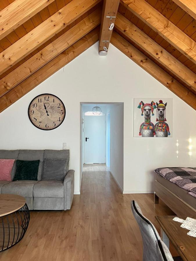 Ferienwohnung Zentral In Loerrach - Konus Gaestekarte Inklusive Bagian luar foto